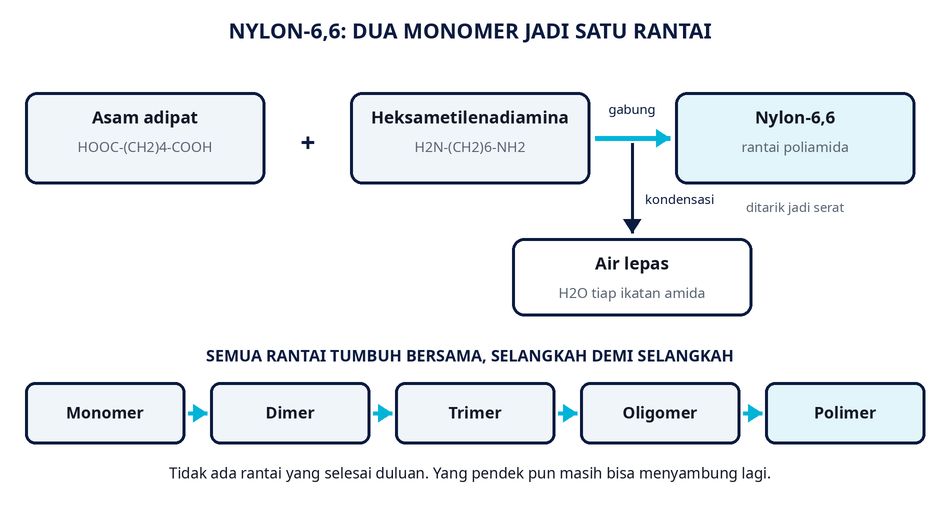 Dua monomer, satu ikatan amida